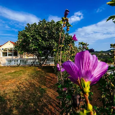 Poolincluded - Villa Sucic Vila Zaton Obrovacki